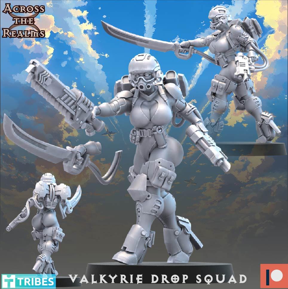 Valkyrie Drop Squad | Across the Realms