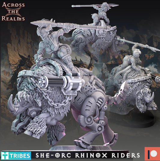 She-Orc Rhino Rider Miniatures | Across the Realms