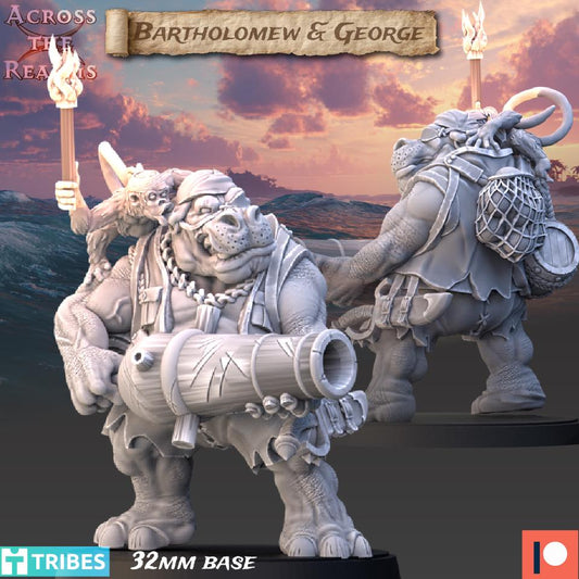 Bartholomew & George | Across the Realms